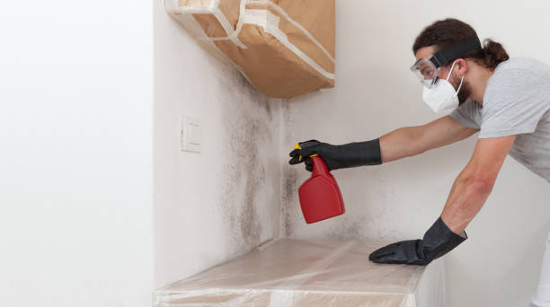 Professional Attic Mold Remediation technician working in Allport, PA