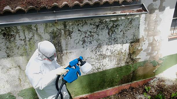 Top rated local Attic Mold Remediation specialists in Allport, PA
